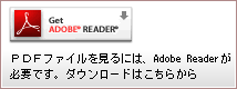 Adobe Reader